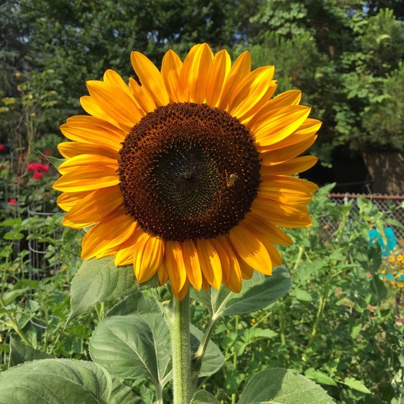 Meet your Posher, Julie - Picture 2 of 5